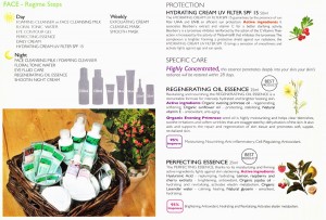 Jeuner Naturelle ligne product