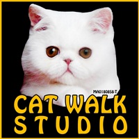 Cat Walk Studio | Cat Hotel