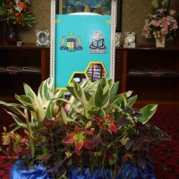 YTY_perasmianIMG_1499