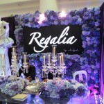 booth stageIMG_20150510_123038