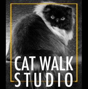 cat walk studio _cat hotel_logo 2016