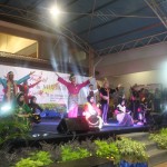 sound systemIMG_9253