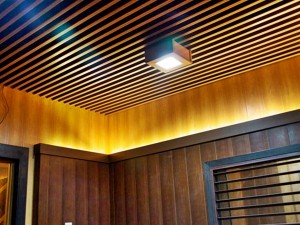 composite wood ceiling