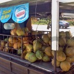 coconut melaka