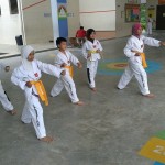 lady taekwondo teacher melaka