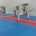 taekwondo center melaka