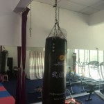 training punching bag melaka