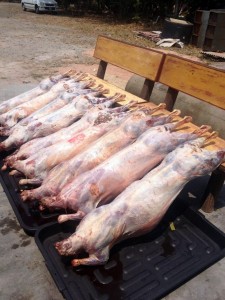 Kambing panggang melaka