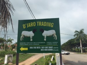 Djaro trading sheep farm melaka