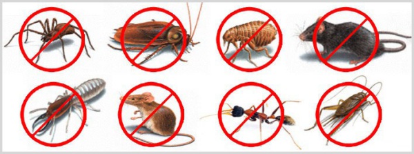 pest control muar melaka1