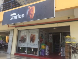meow station melaka_pet shop